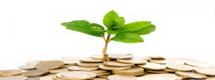 Investment Services Investment Services
